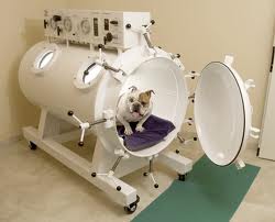HBOT - Hyperbaric Oxygen Therapy - Veterinary - Dogs - MOSA - Medical Oxygen Society of the Americas - www.mosao2.org