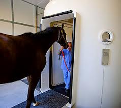 HBOT - Hyperbaric Oxygen Therapy - Veterinary - Horses - MOSA - Medical Oxygen Society of the Americas - www.mosao2.org