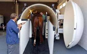 HBOT - Hyperbaric Oxygen Therapy - Veterinary - Horses - MOSA - Medical Oxygen Society of the Americas - www.mosao2.org