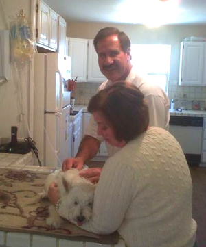 O3 Ozone Oxygen Therapy - Veterinary - Dogs - MOSA - Medical Oxygen Society of the Americas - www.mosao2.org